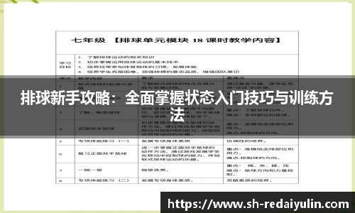 排球新手攻略：全面掌握状态入门技巧与训练方法